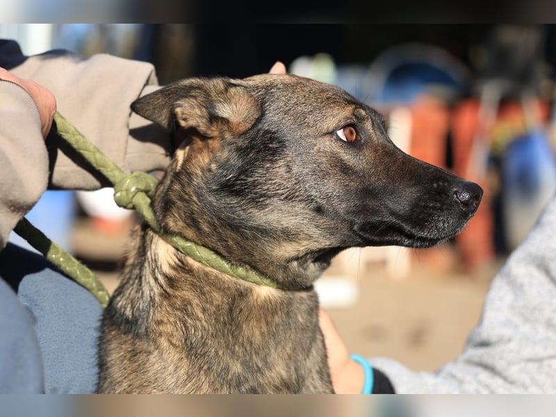 Anya, die Sensible Seele sucht einfühlsame Menschen