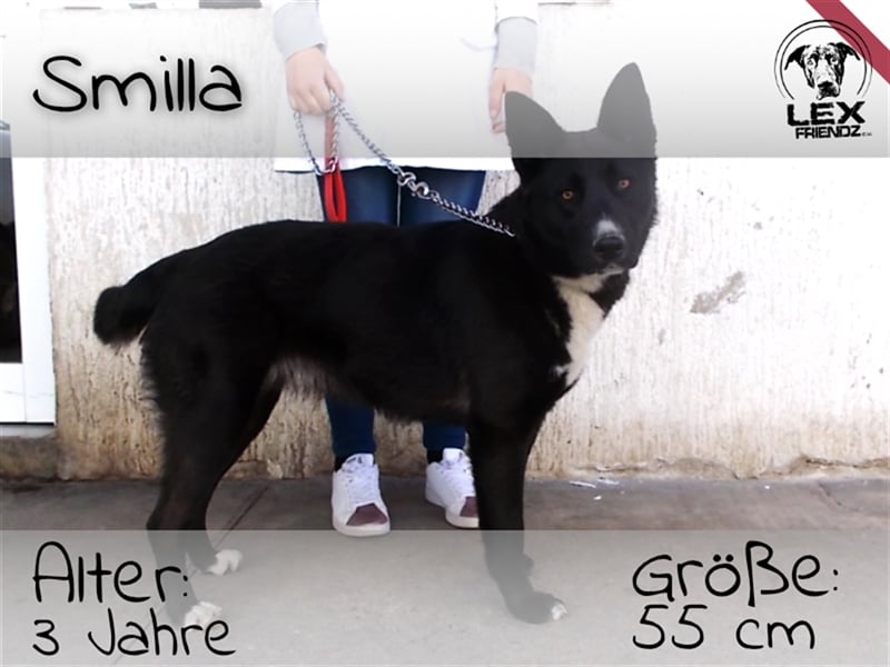 Smilla - verspieltes Mädchen