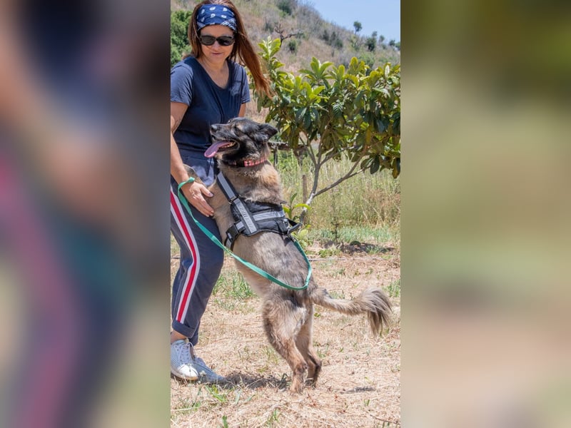 Luna – eine temperamentvolle Dame