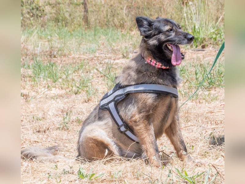 Luna – eine temperamentvolle Dame