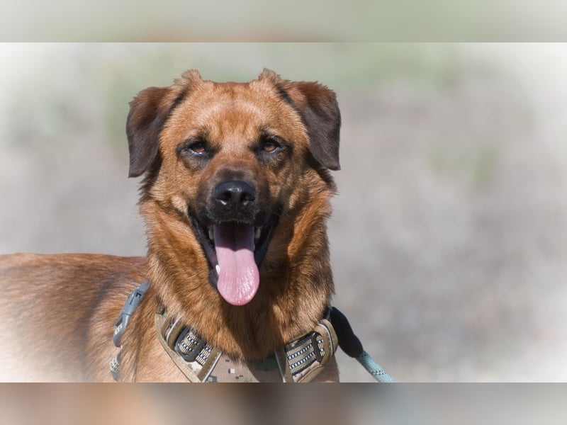 Caju – sensibel und liebevoll