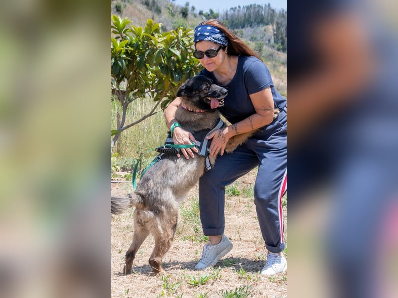 Luna – eine temperamentvolle Dame