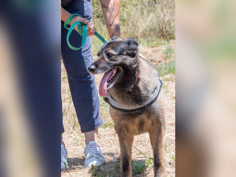 Luna – eine temperamentvolle Dame