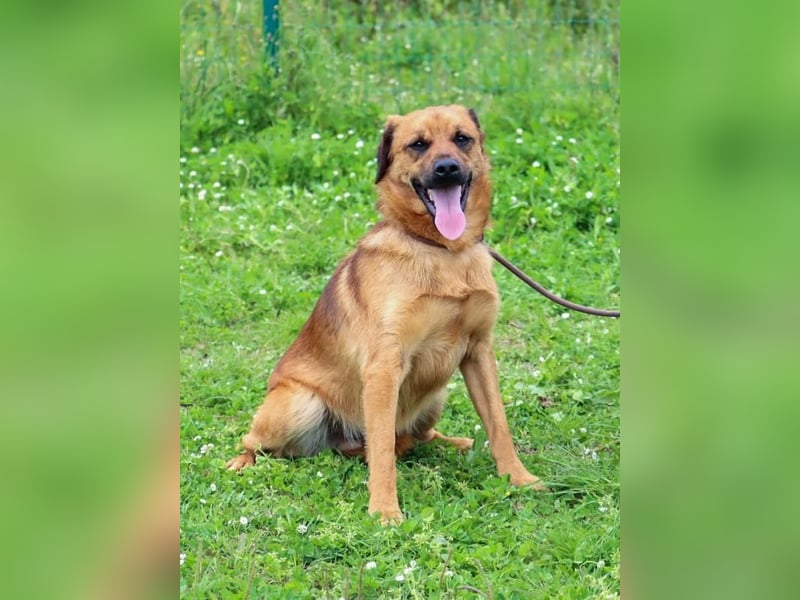 Caju – sensibel und liebevoll