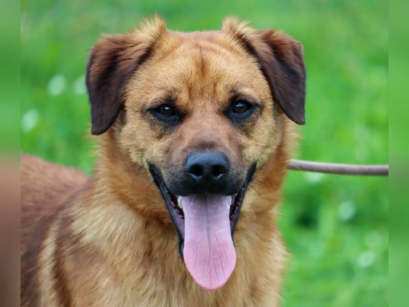 Caju – sensibel und liebevoll