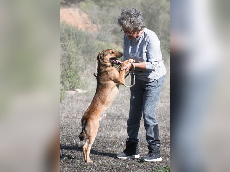 Cid – ein lieber Junge