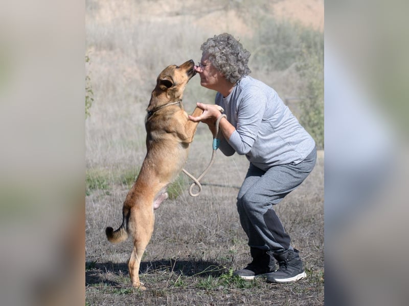 Cid – ein lieber Junge