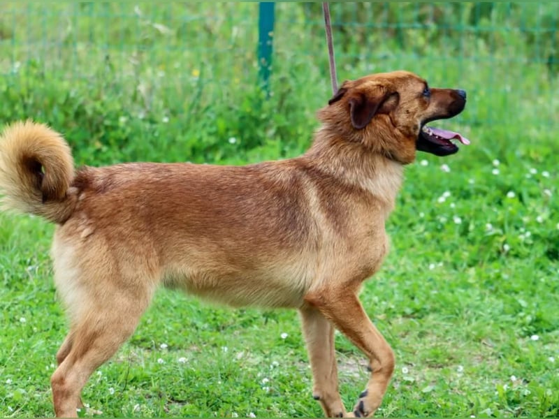 Caju – sensibel und liebevoll