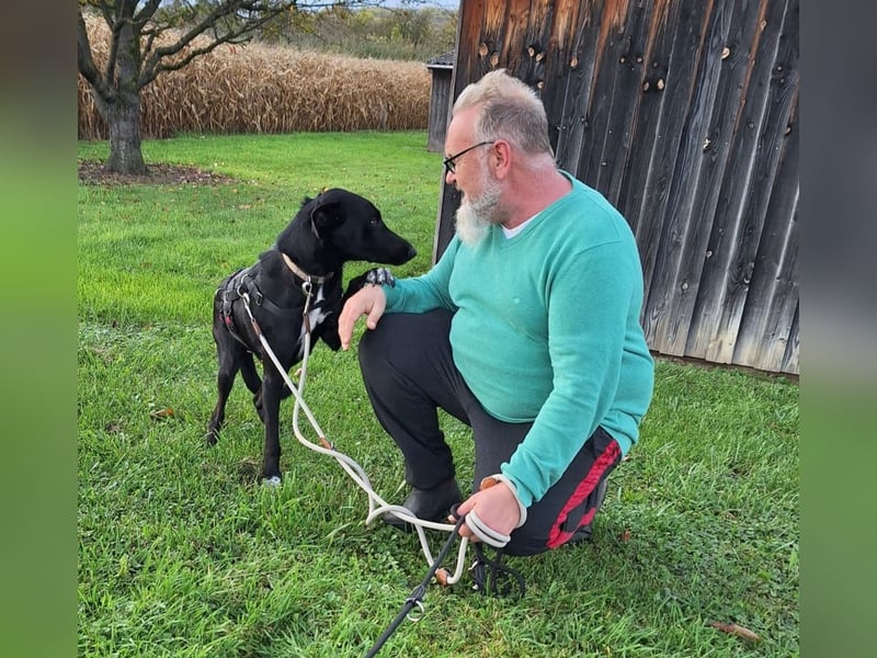 Pino – ein treues Sensibelchen Pino – ein treues Sensibelchen