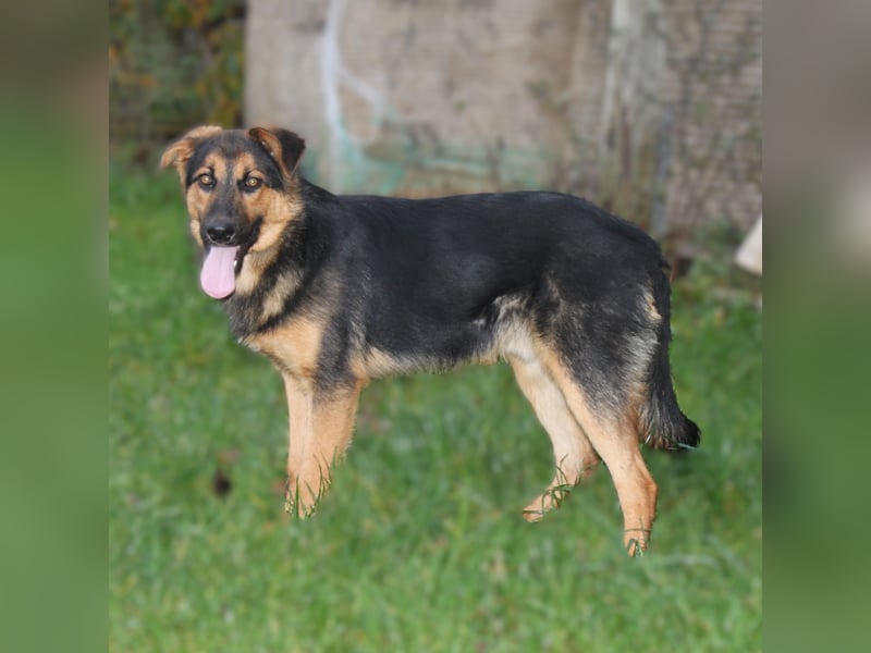 Lucky - Für-Immer-Glück gesucht