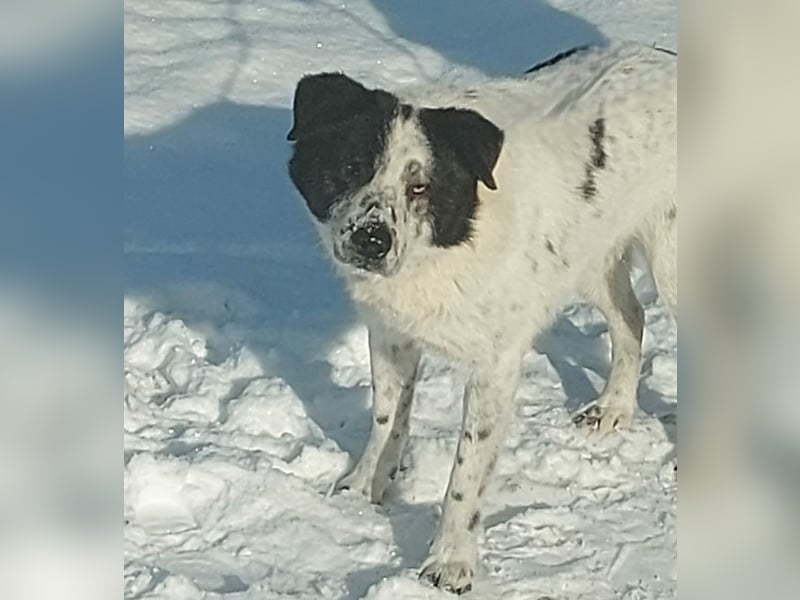 Sven - wer bringt Licht in mein Dunkel?