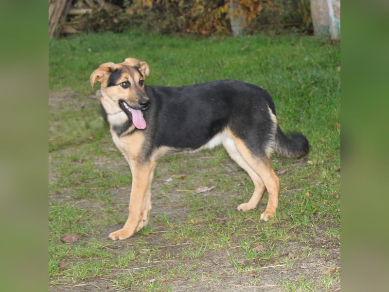 Lilly auf Familiensuche