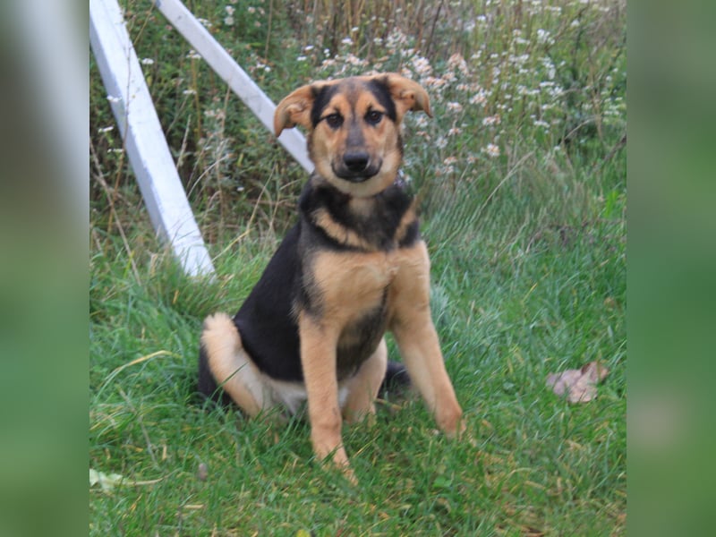 Lilly auf Familiensuche