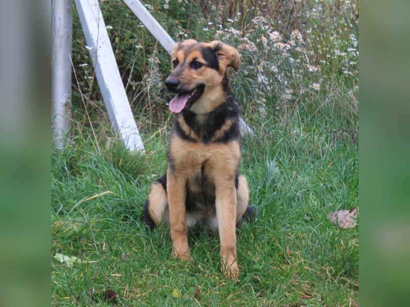 Lilly auf Familiensuche