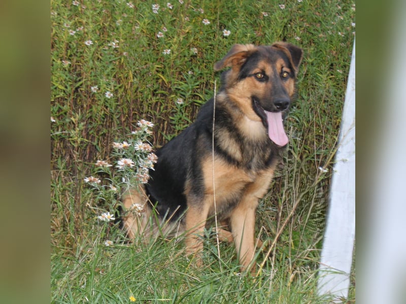 Lucky - Für-Immer-Glück gesucht