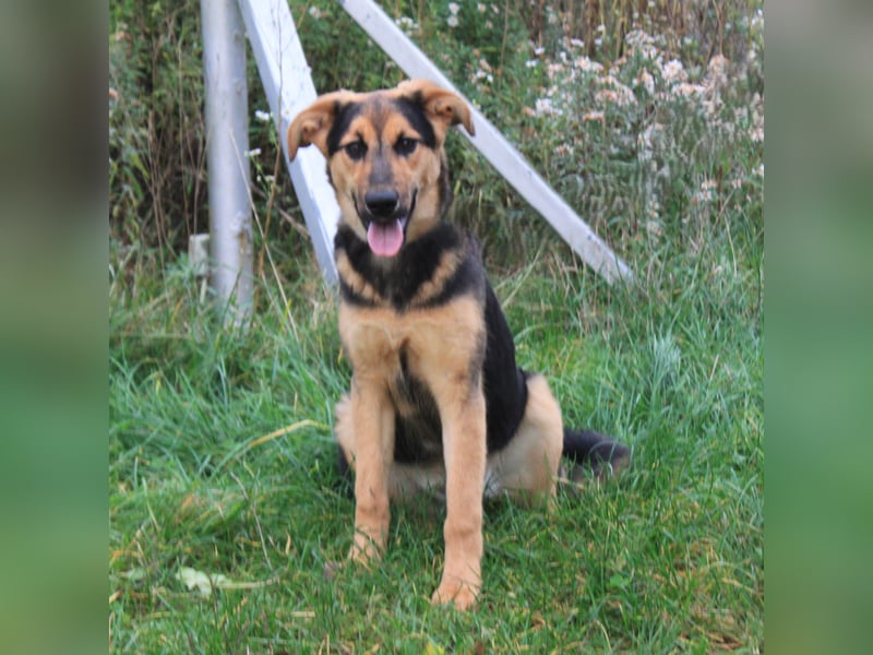 Lilly auf Familiensuche