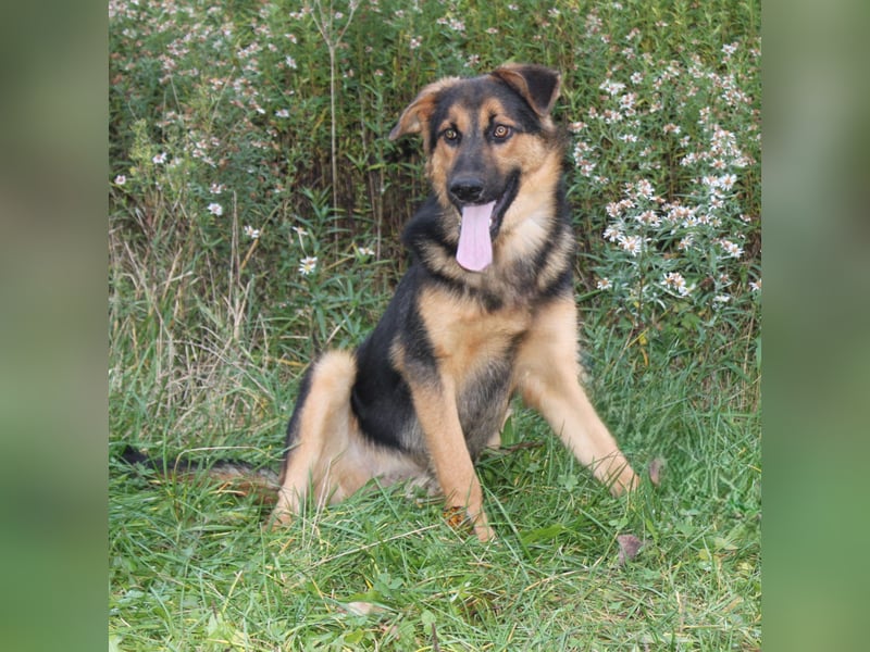 Lucky - Für-Immer-Glück gesucht