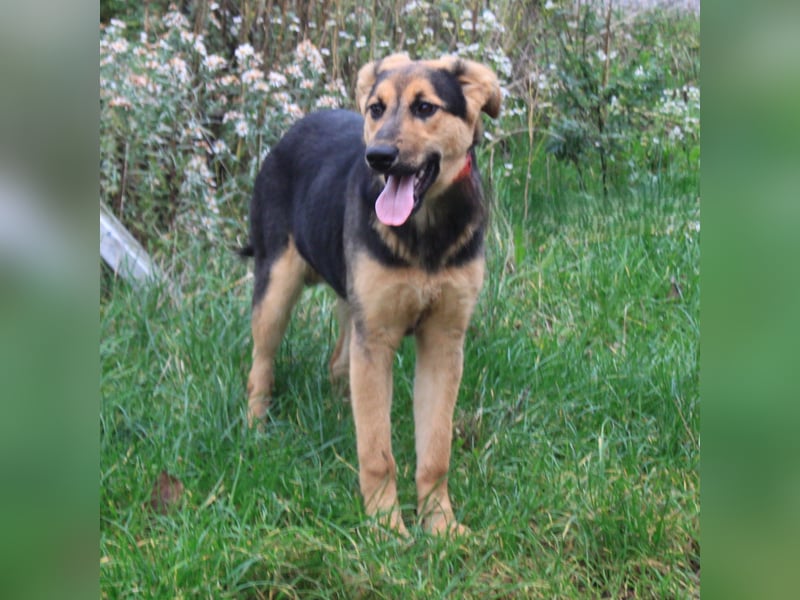 Lilly auf Familiensuche