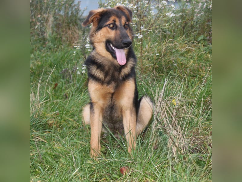 Lucky - Für-Immer-Glück gesucht