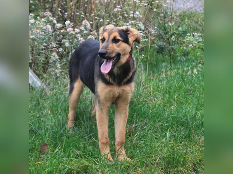 Lilly auf Familiensuche