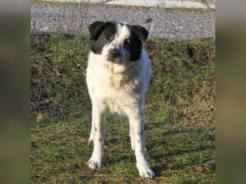Sven - wer bringt Licht in mein Dunkel?