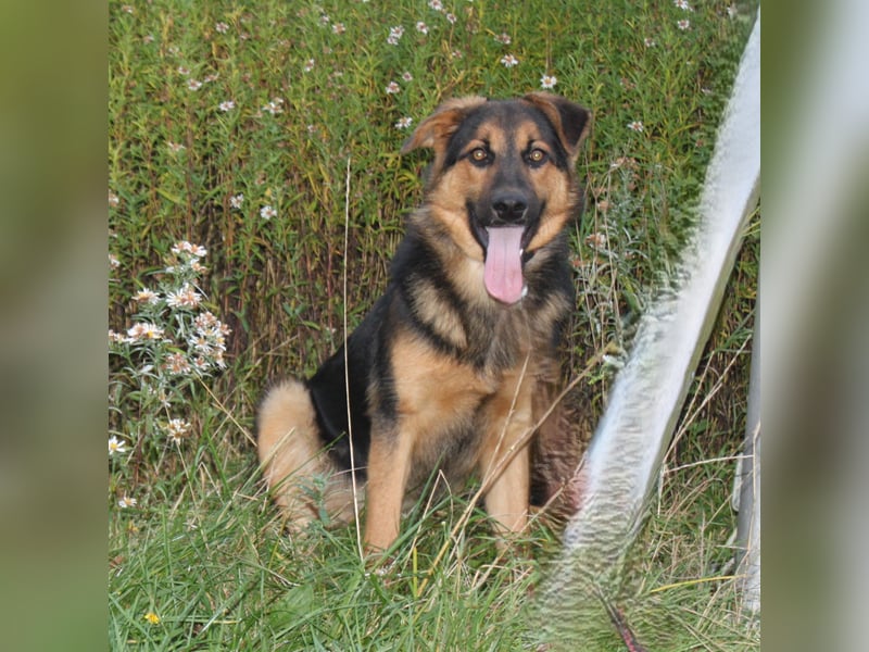 Lucky - Für-Immer-Glück gesucht