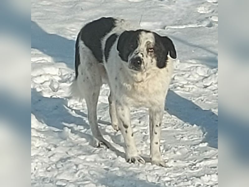 Sven - wer bringt Licht in mein Dunkel?