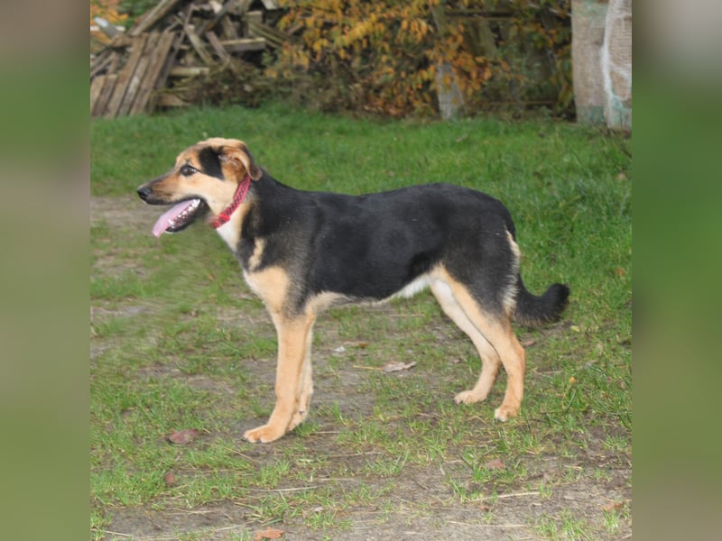 Lilly auf Familiensuche