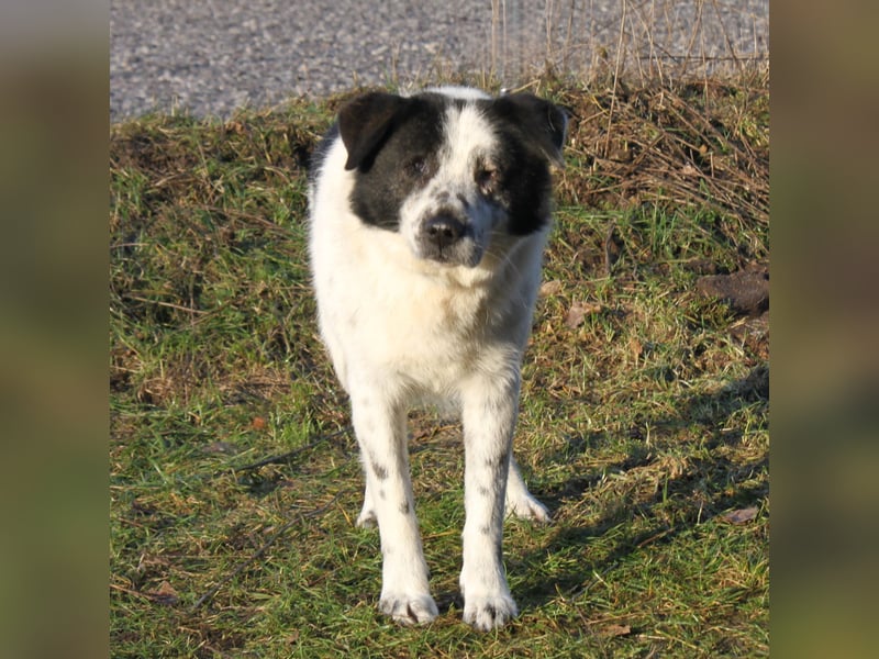 Sven - wer bringt Licht in mein Dunkel?