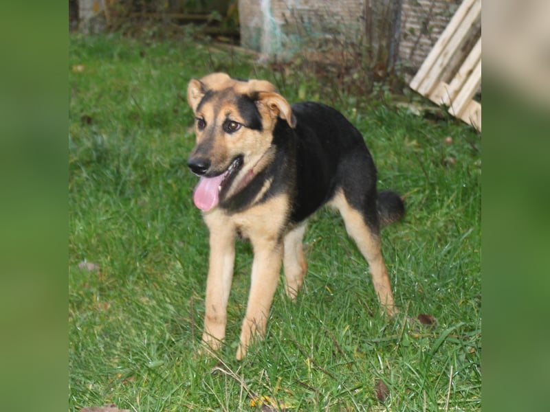 Lilly auf Familiensuche