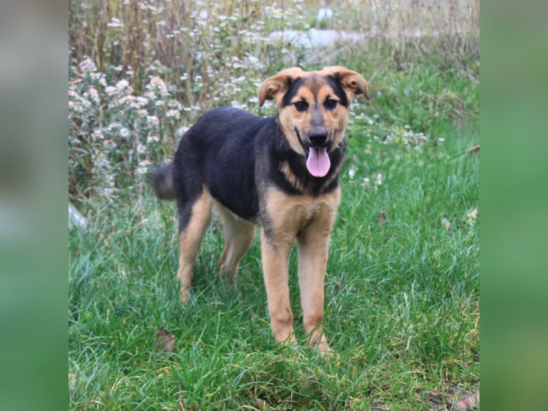 Lilly auf Familiensuche