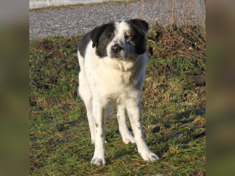 Sven - wer bringt Licht in mein Dunkel?