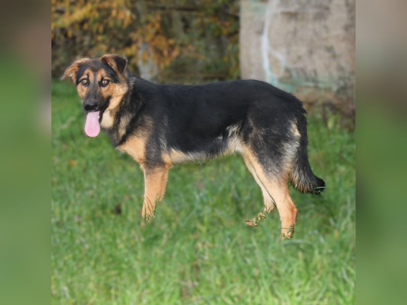 Lucky - Für-Immer-Glück gesucht