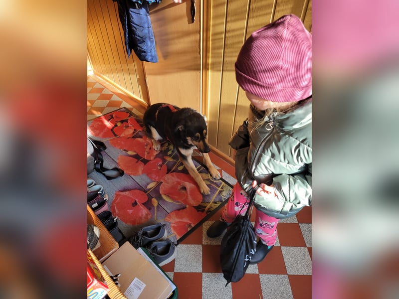 Lina, a.d.Tierschutz, sanft und liebevoll