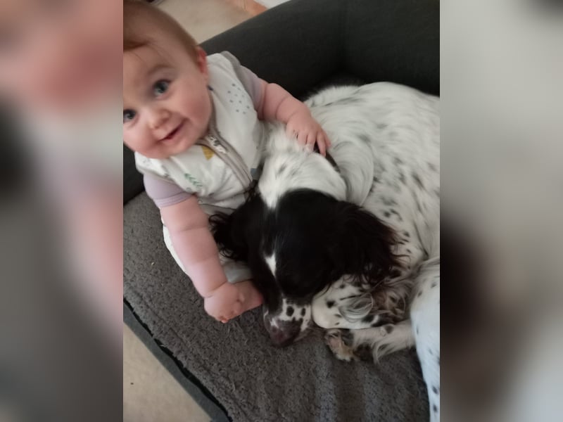 Wonky, benötigt ein neues Zuhause