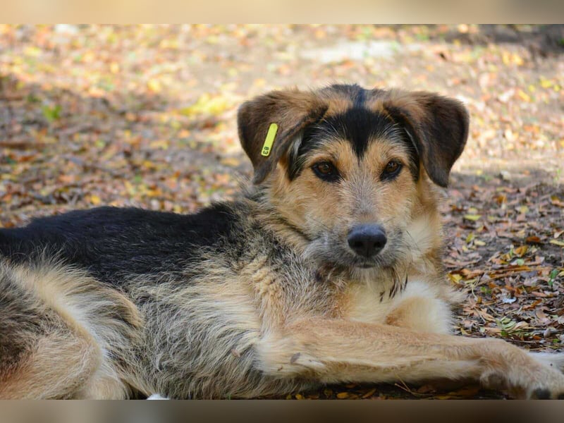 Maylo - Notfall - Plfegestelle gesucht