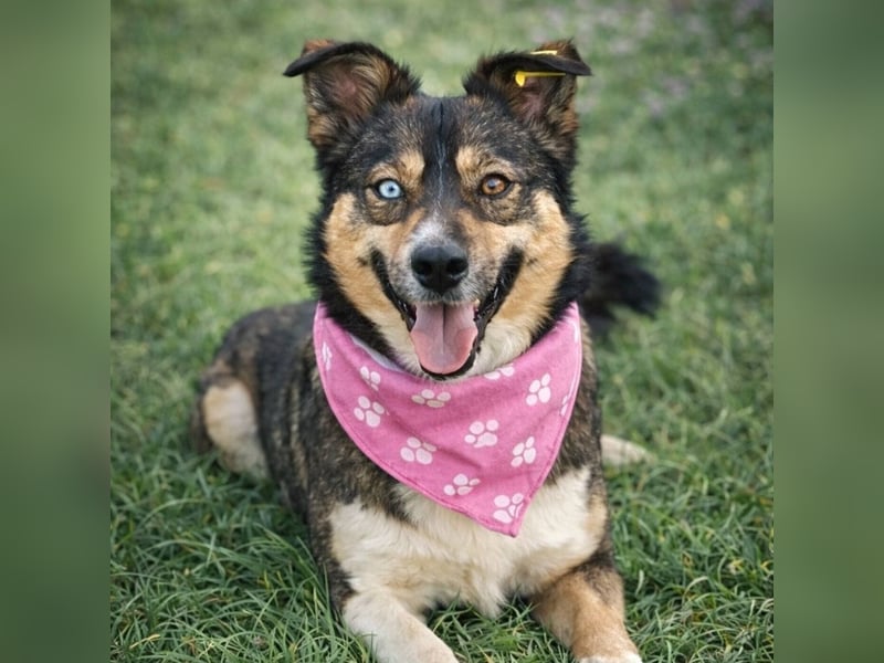 Trudy