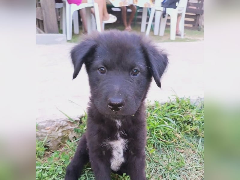 Nona