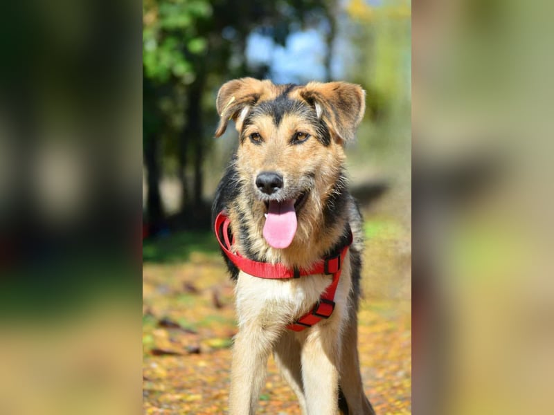 Maylo - Notfall - Plfegestelle gesucht