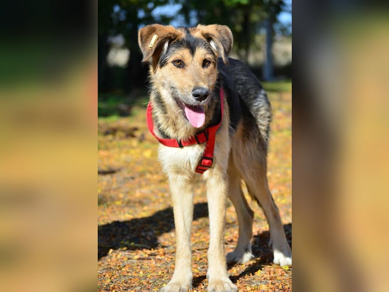 Maylo - Notfall - Plfegestelle gesucht