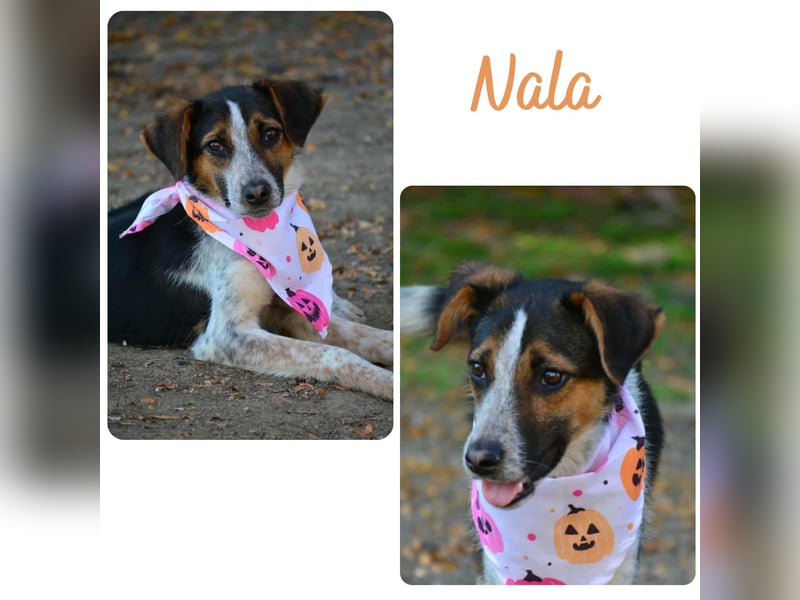 Nala