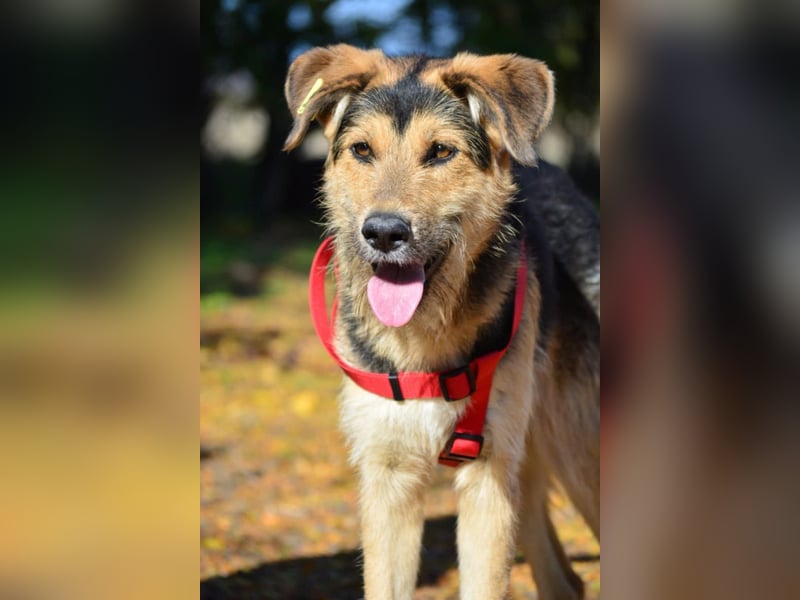 Maylo - Notfall - Plfegestelle gesucht
