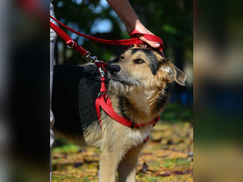 Maylo - Notfall - Plfegestelle gesucht