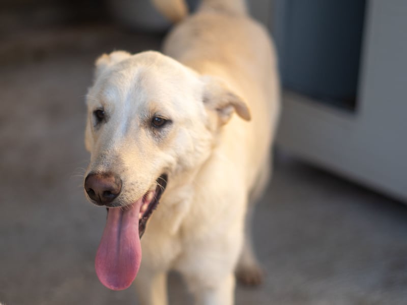 Xander - ein 6`er im Lotto