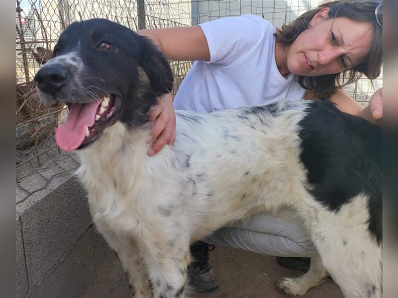 Boris - einfach klasse!