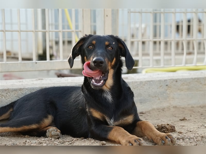 Mel - braucht nochmal Glück