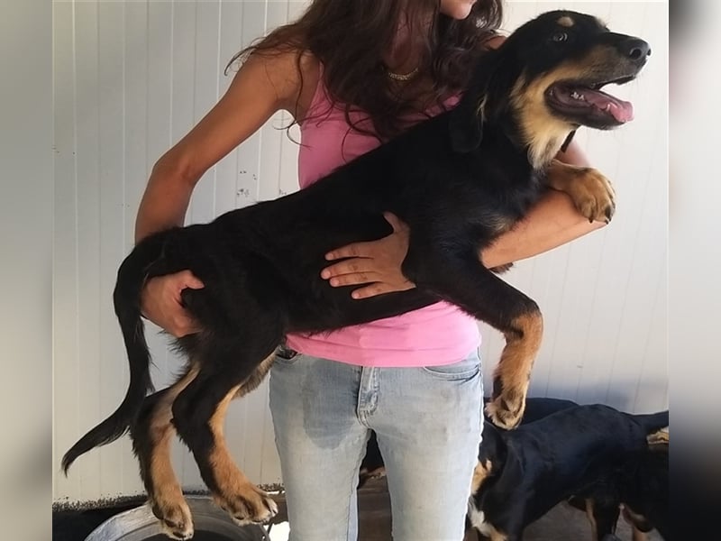 Mel - braucht nochmal Glück