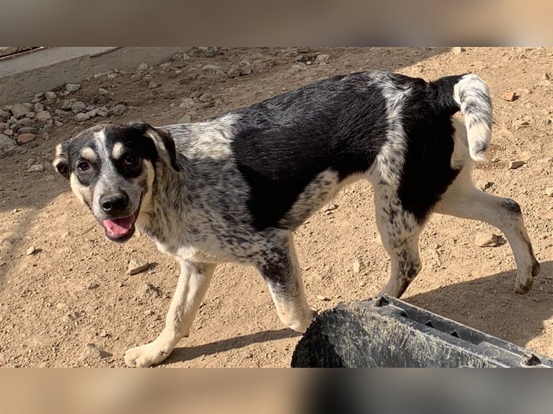 Mig - Wunder gesucht