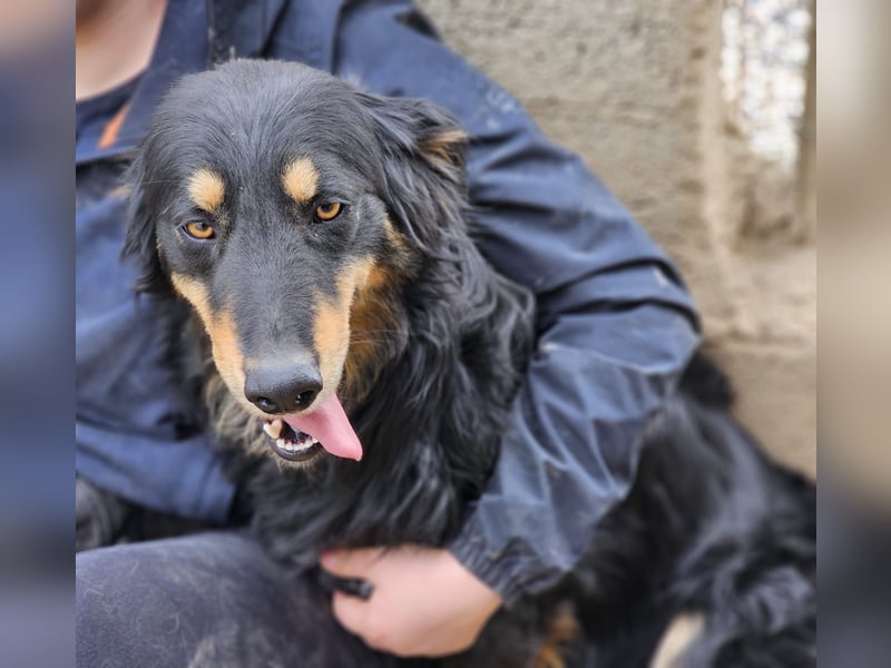 Mel -offen, menschenbezogen, aktiv