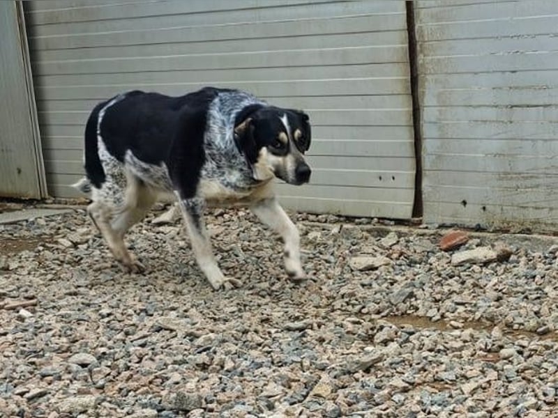 Mig - Wunder gesucht